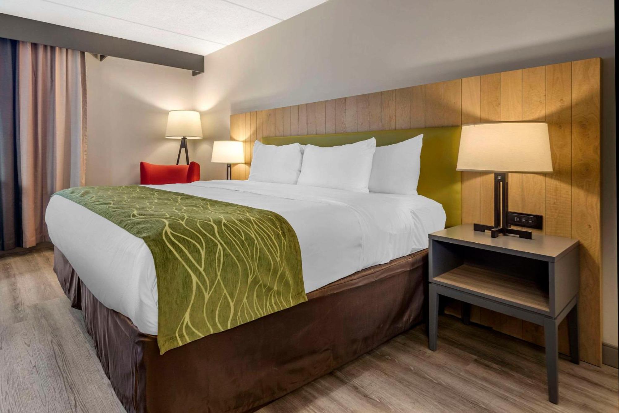 Comfort Inn & Suites Liverpool - Syracuse North Extérieur photo